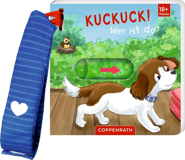 Image du produit Mein Schieberbuch für den Buggy: Kuckuc (Allemand)