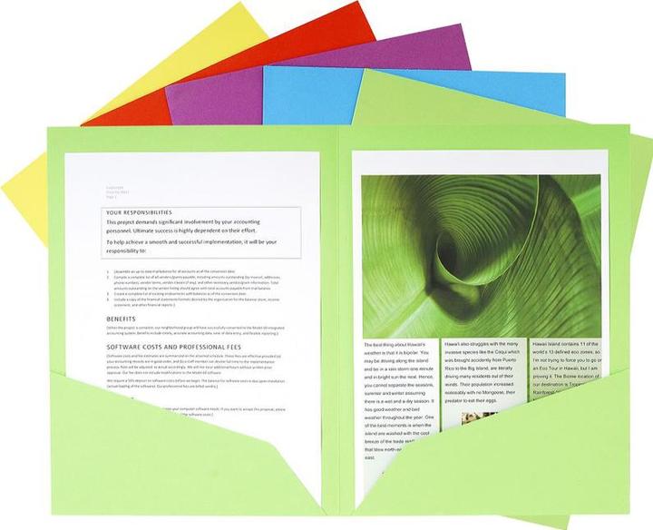 Actual product image Exacompta File folder ROCK'S, DIN A4, assorted colours (A4, 25 x)