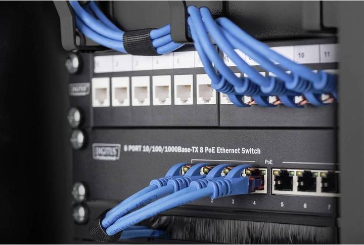Actual product image Digitus 10" Cable management panel
