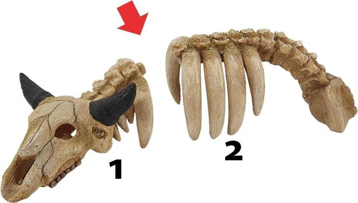 Actual product image Nobby aquarium decoration animal skeleton (Embellishment, other items)