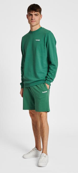 Image du produit hummel hmlLGC GABE SWEATSHIRT (XXL)