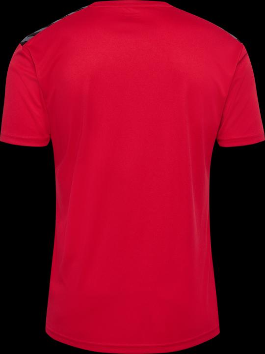 Actual product image hummel Hmlauthentic Pl Jersey S/S (M)