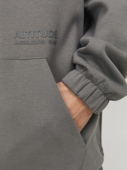 Actual product image Jack & Jones Jcoaltitude Sweat Hood Sn (S)