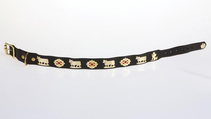 Produktbild Jenni Hemden Appenzellerhundehalsband 3,5cm (Hund, Spazieren)
