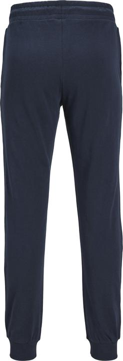 Image du produit Jack & Jones Pantalon de jogging Mini Jogging (110)