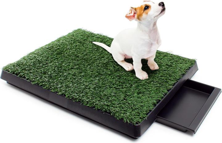 Immagine prodotto Fudajo Toilette per cani (Cane)