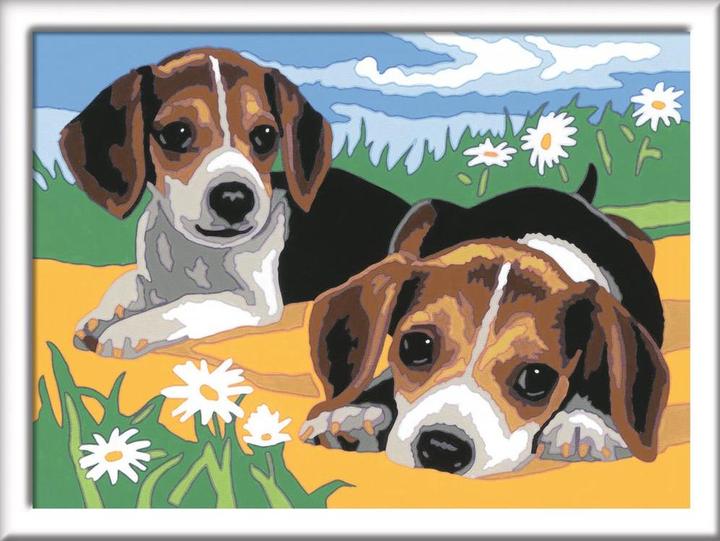 Immagine prodotto Ravensburger Cuccioli di Jack Russel