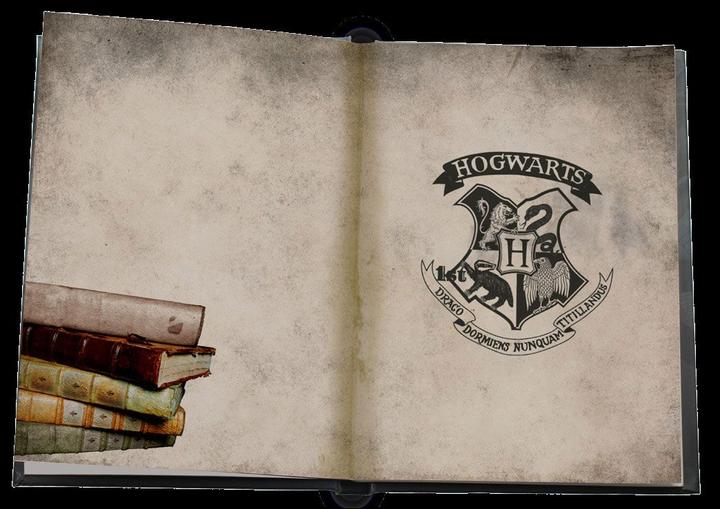 Image du produit SD Toys Carnet Lumineux Hp - Serpentard (A5)
