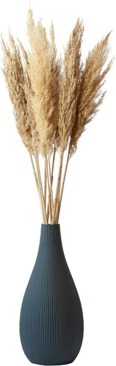Produktbild Natura Punto Pfahlrohr - Arundo donax (Trockenblumen)