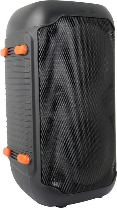 Actual product image Esperanza EP156 BT FM LED RGB KARAOKE speaker black 20W (5 h, Battery operated)