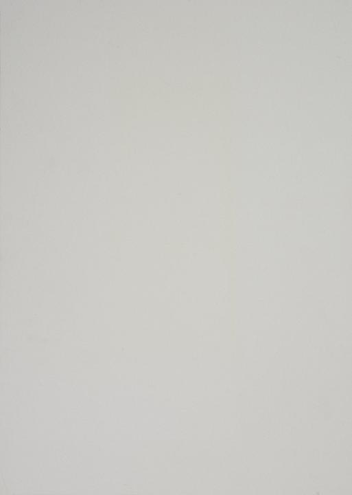 Actual product image Abig Linoleum board A3