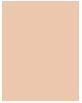 Actual product image Bourjois Healthy Mix Clean & Vegan BB Cream (03 Beige)