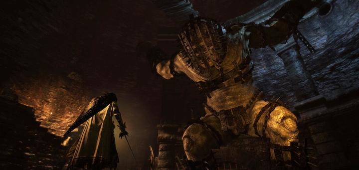 Actual product image Capcom Dragon's Dogma: Dark Arisen -US- (Switch, Switch Lite, Switch OLED, EN)