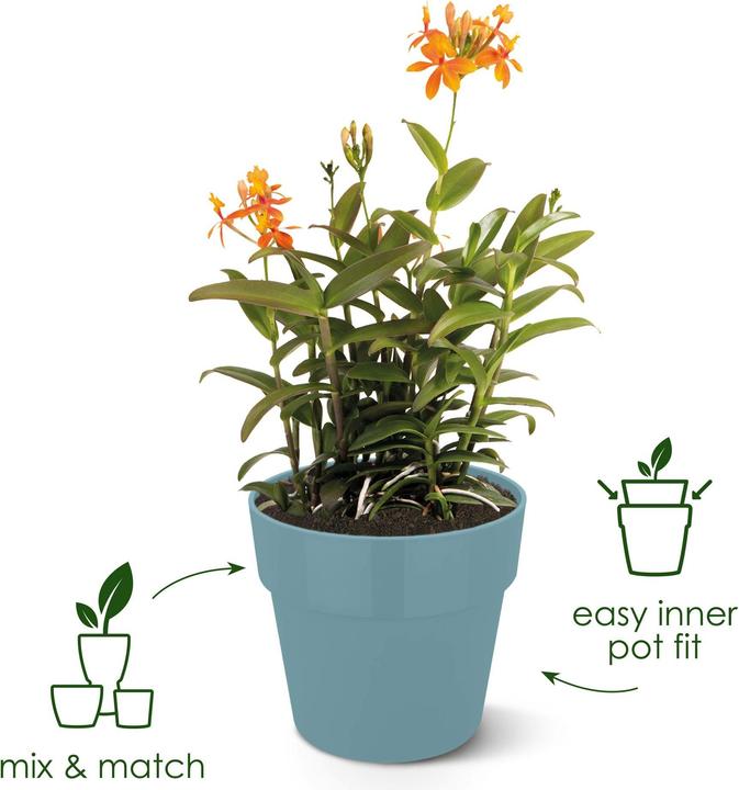 Actual product image Elho b.for original (14 cm)