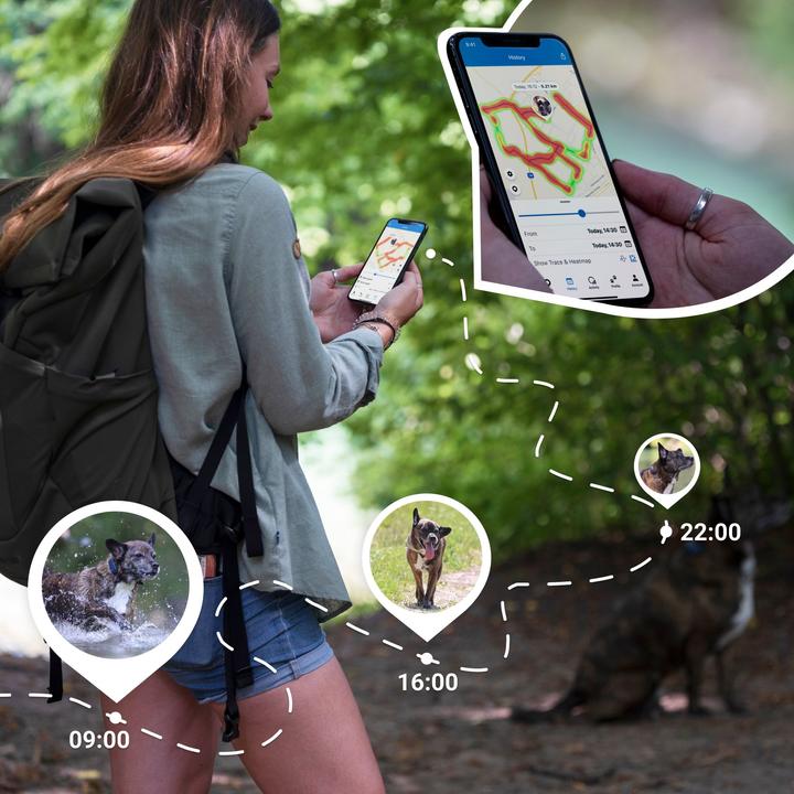 Productafbeelding Tractive Dog 4 GPS Tracker voor honden (Kat, Hond, Loop)