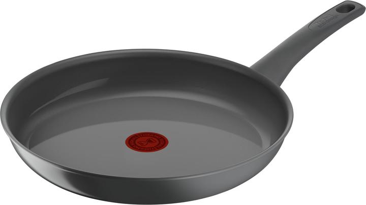 Tefal C4260653 (28 cm, Casserole + Stewpot, Ceramic)