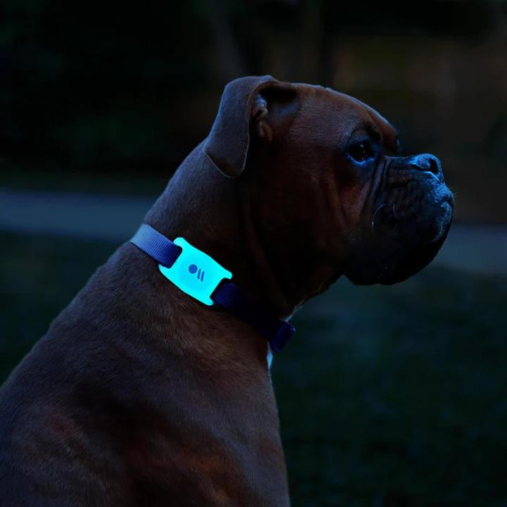 Immagine prodotto Case-Mate Supporto per collare per cani AirTag