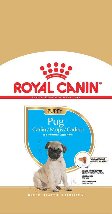 Image du produit Royal Canin Mops Junior (Junior, 1 pcs, 1500 g)
