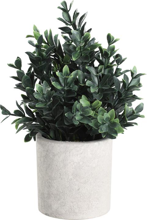 EGLO LIVING Chitoso (23 cm)