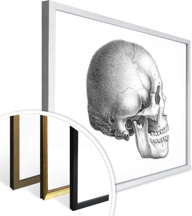 Produktbild Trenddeko Totenschädel 01 (30 x 24 cm)