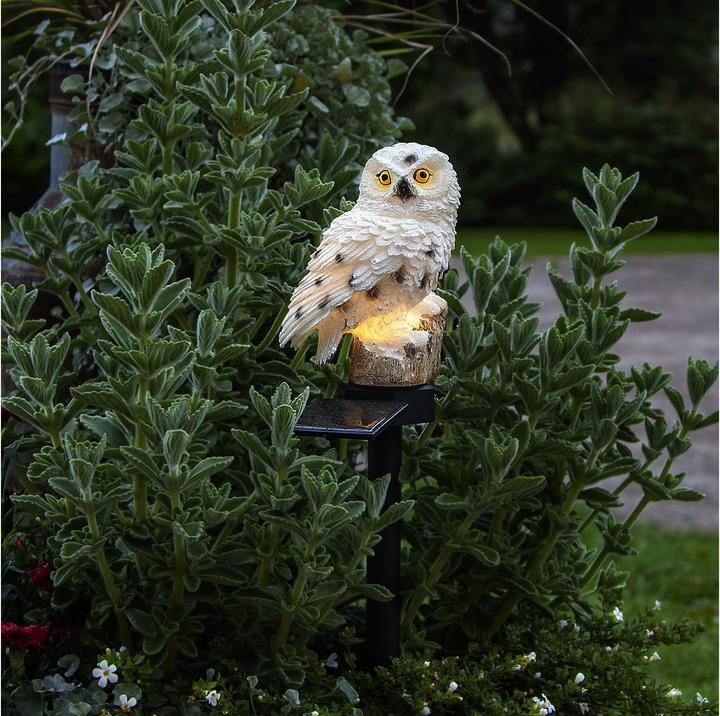 Image du produit Star Trading Owl (IP44)