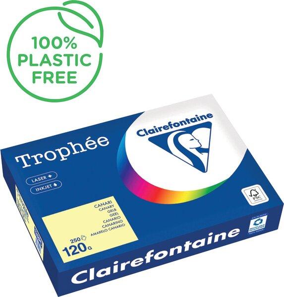 Actual product image Clairefontaine Universal paper, coloured (120 g/m², 250 x, A4)