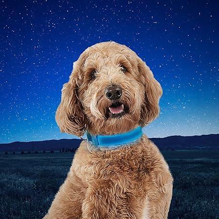 Immagine prodotto Nite Ize Collare a LED ricaricabile NiteDog™ M (Cane)