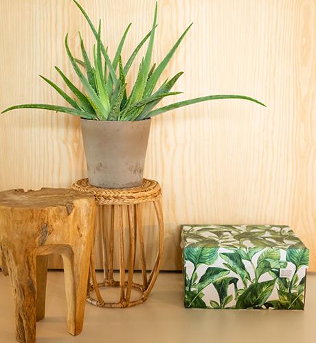 Immagine prodotto Dutchdesign Scatola portaoggetti dal design olandese Foglie verdi (39,5 x 32 x 21 cm)