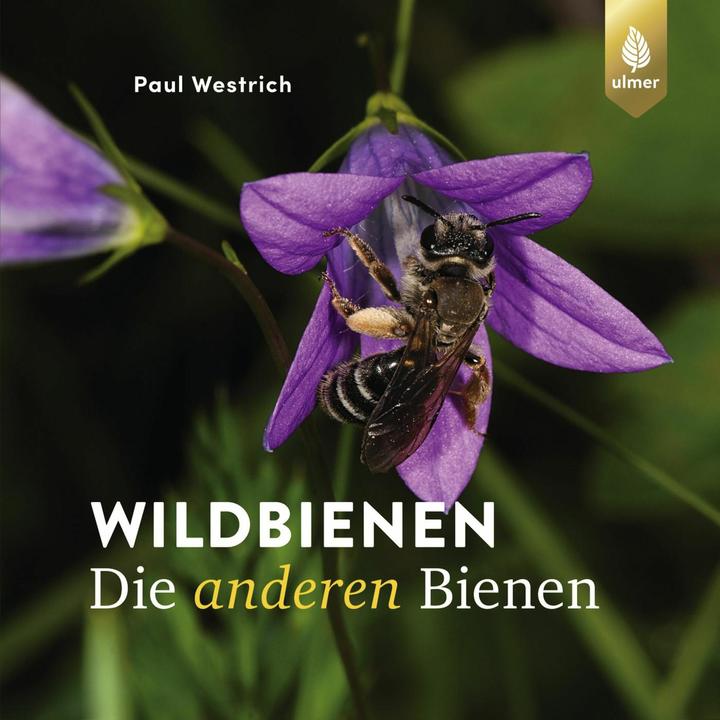 Produktbild Westrich:Wildbienen die anderen Bienen (Deutsch, Paul Westrich, 2024)