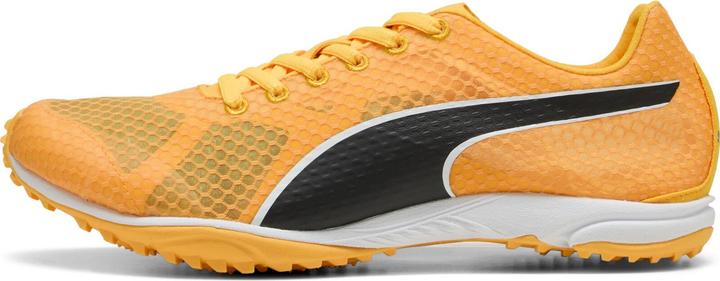 Immagine prodotto Puma evoSPEED Haraka 8 Unisex Senza Spillo (45)