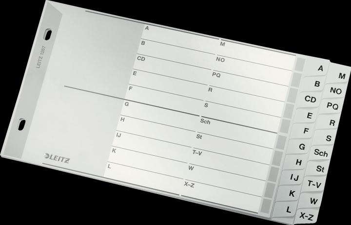 Actual product image Leitz Register PP grey