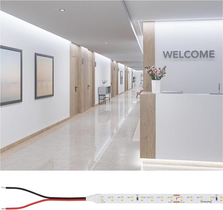 Immagine prodotto Paulmann Pro Strip Gold P75 (Luce del giorno, 1000 cm, Interno)
