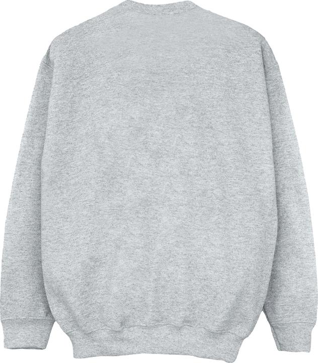 Image du produit - Sweat SPIDER-MAN AMAZING - Femme (XL)