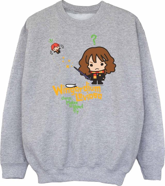 Produktbild Wingardium Leviosa Sweatshirt Jungen (152, 158)