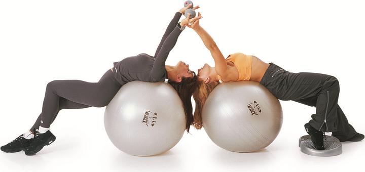Image du produit Togu Powerball ABS (55 cm)