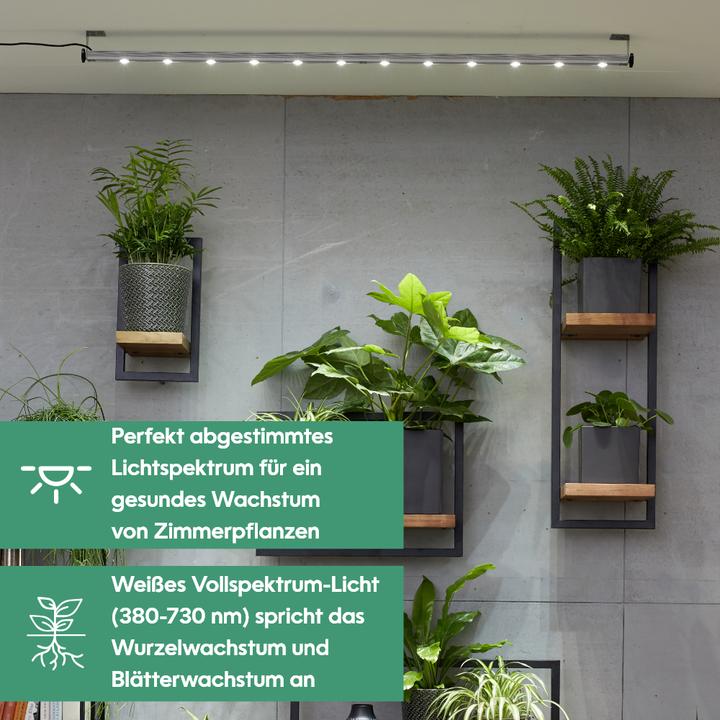 Produktbild Parus by Venso Wall Spot 120cm, Abstrahlwinkel 60°, LED Wachstumslampe, Grow Light für Zimmerpflanze (LED, 245 V)