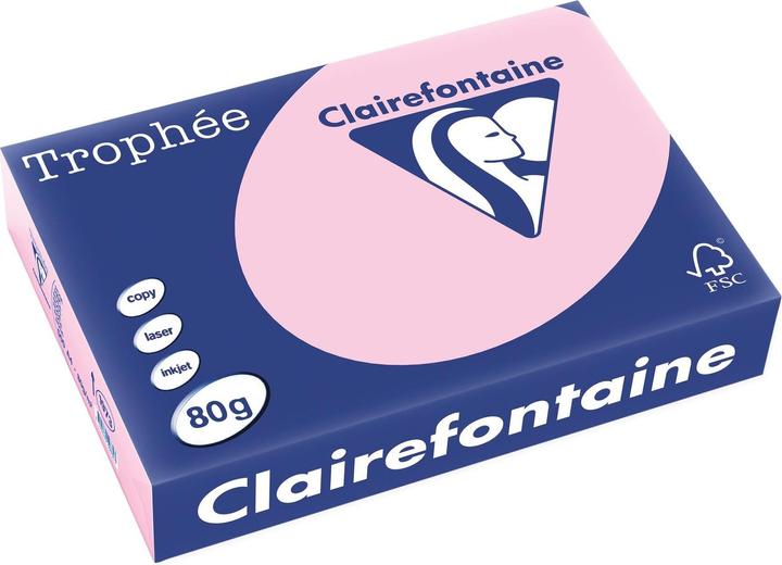 églantier