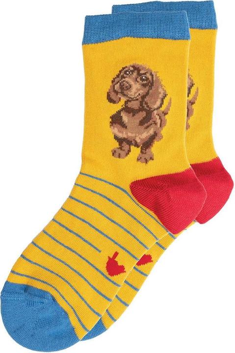 Produktbild Wrendale Design Kindersocken 'Little One' Dackel Grösse 27-31 (27 - 31)