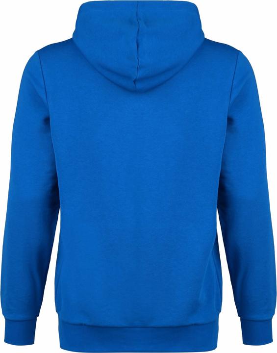 Actual product image Puma TeamGoal 23 Casuals Hoodie Men (XXL)