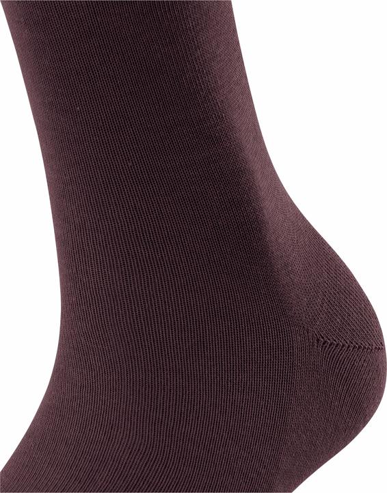 Actual product image Falke Family SO (Single pack, 39 - 42)