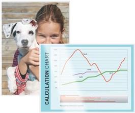 Actual product image Leitz Laminating film (A3, 25 Piece, 80 µm)