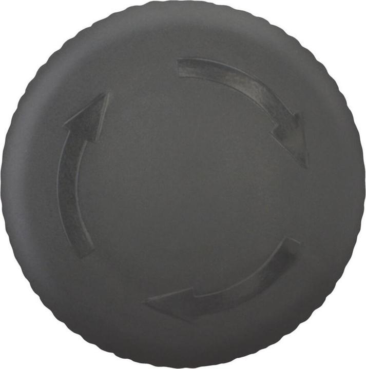 Actual product image Eaton STOP /HOLD key, unlit, rotation locked