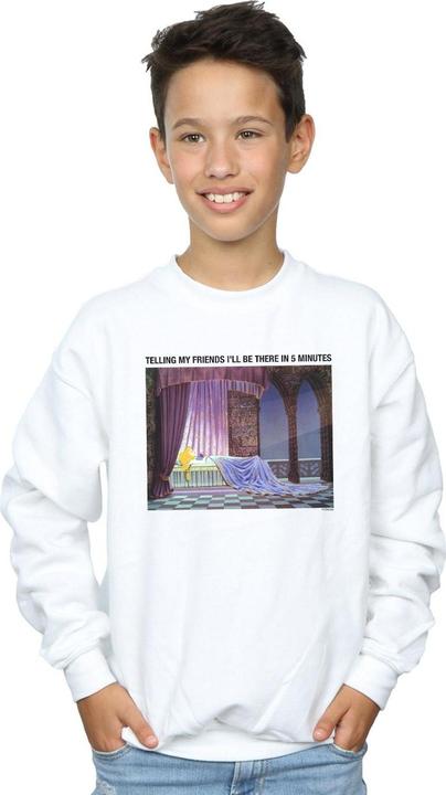 Image du produit Disney - Sweat SLEEPING BEAUTY I'LL BE THERE IN - Garçon (140, 146)