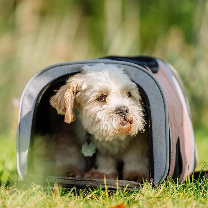 Image du produit Nobby Sac à dos Plata (vieux rose-gris) (Chien, Chat, Réflecteurs, Respirant)
