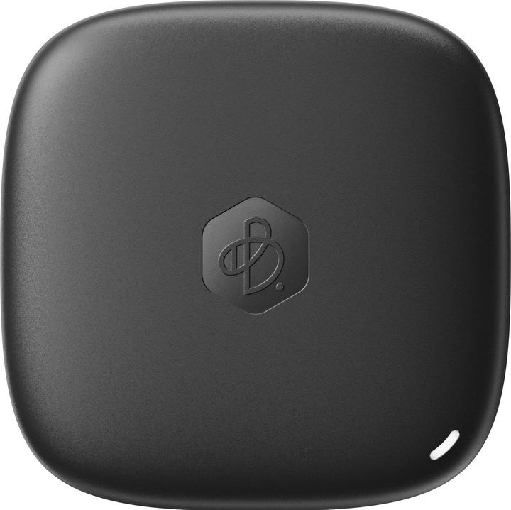 Synology BeeDrive (1000 GB)