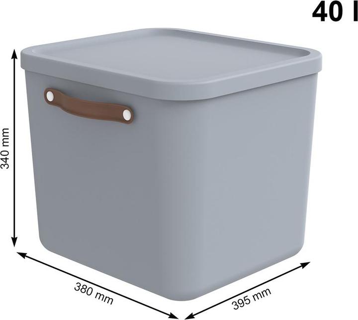 Immagine prodotto Rotho Aufbewahrungsbox 40 l MALOJA (40 l)