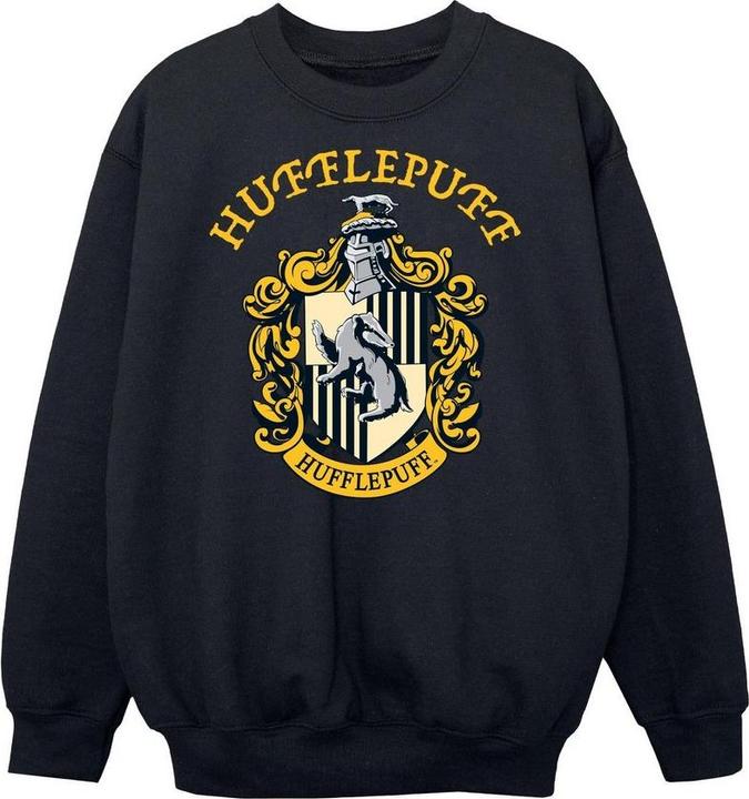 Produktbild Boys Hufflepuff Cotton Sweatshirt (152, 158)