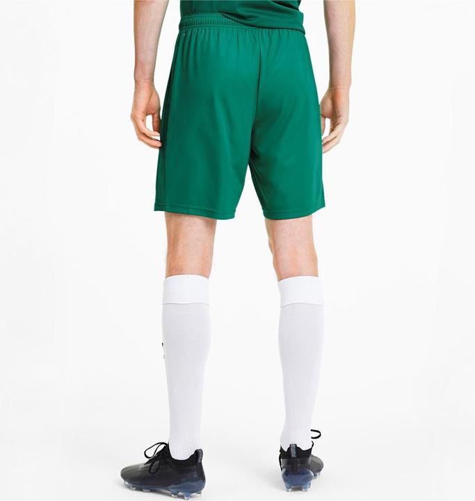 Image du produit Puma teamGOAL 23 knit Short-704262 (S)