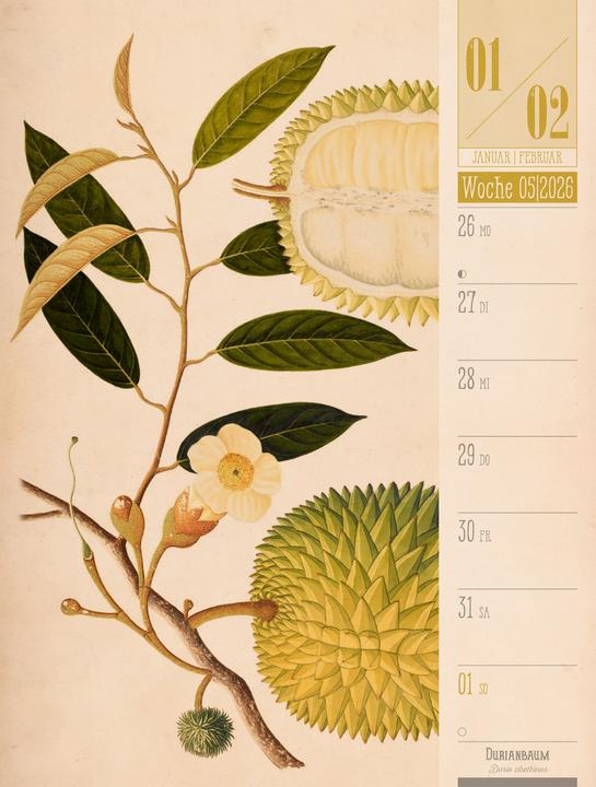 Immagine prodotto Culinarium - Küche, Kräuter, Kurioses - Vintage Wochenplaner Kalender 2026 (25 x 33 cm, Copertina rigida, Tedesco)