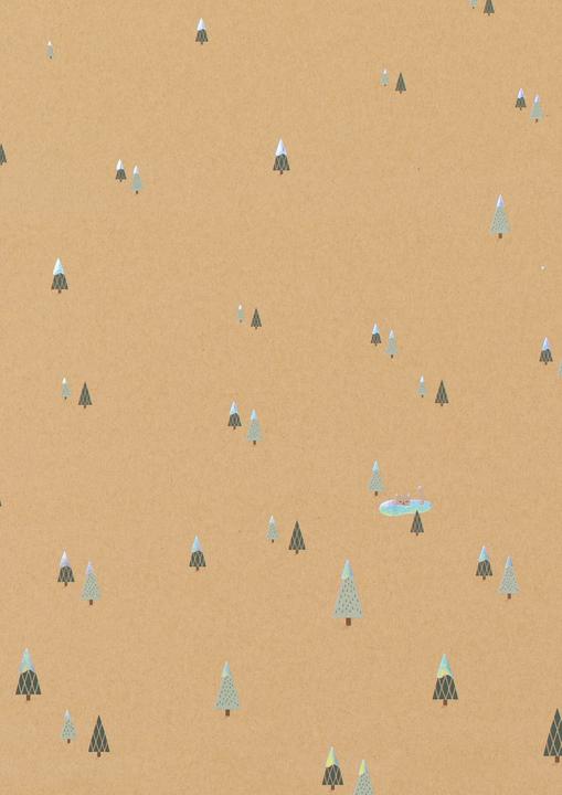 Produktbild Folia Designpapier Magic Christmas A4, 115/270 g/m², 20 Blatt (270 g/m², 1 x)